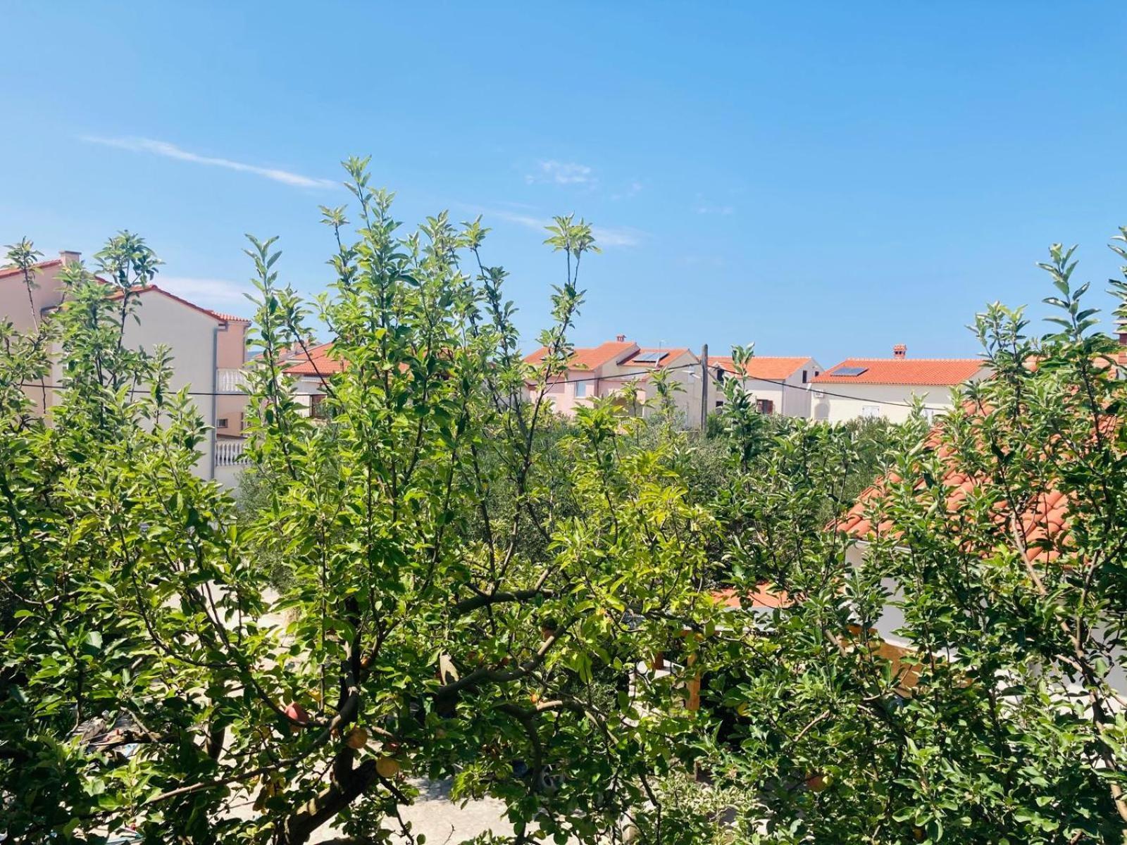 Apartment Mrkic Biograd Na Moru Exterior foto